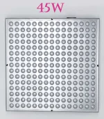 მცენარის შუქი