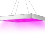 წითელი განათება