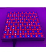 წითელი განათება