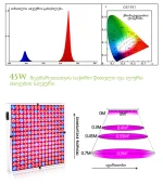 mcenaris gasazrdeli ganaTeba
