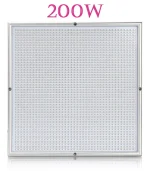 ბოქსის განათება