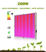 მცენარეების განათება