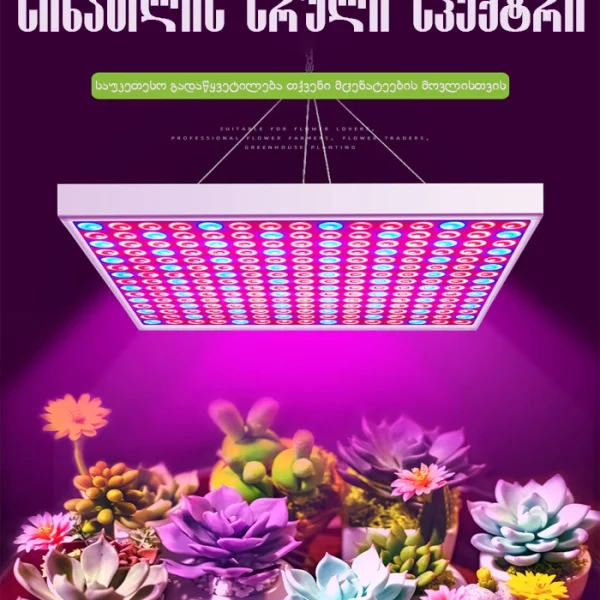 მცენარეების გასაზრდელი განათეება