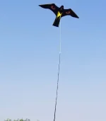 ჩიტების დასაფრთხობი