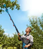 სეკატორი ელემენტზე